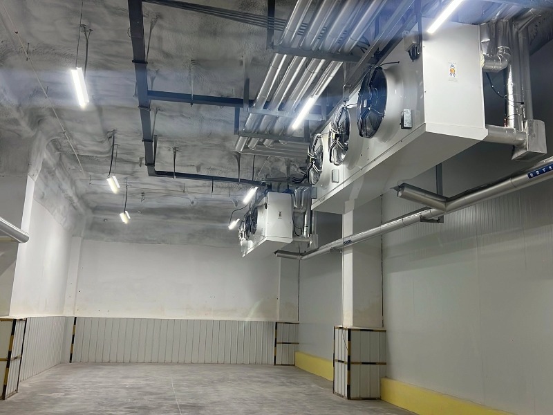 2025年度大型冷库安装与工程制造优质企业甄选指南